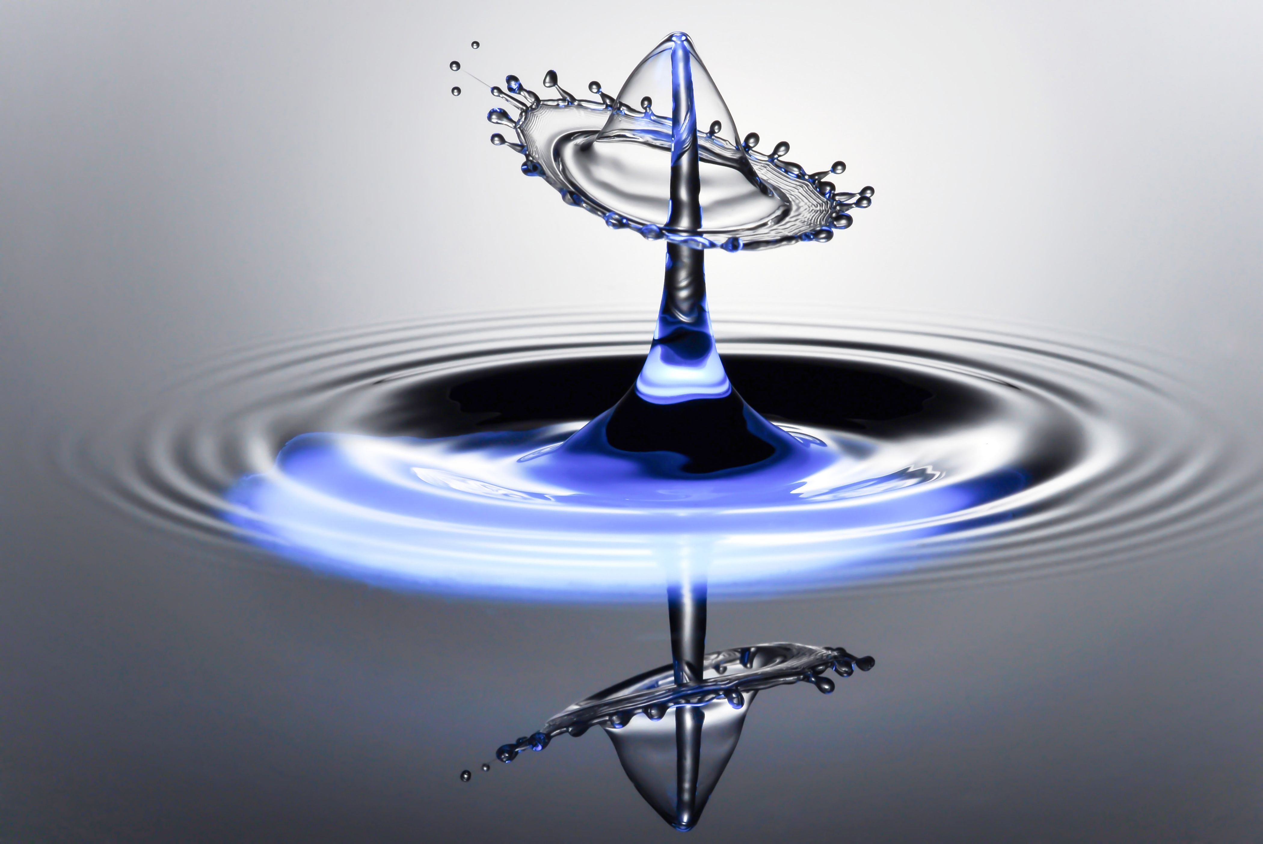 Fluid Dynamics